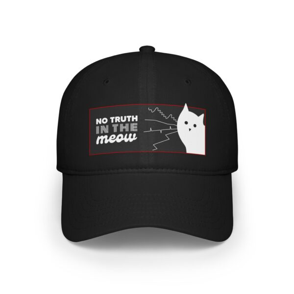 No Truth In The Meow Black Hat